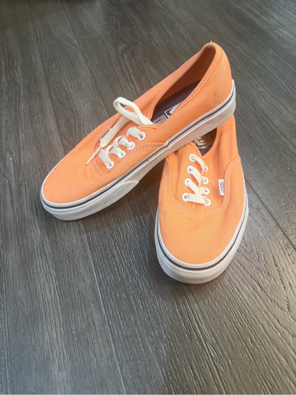 Vans Canvas Authentic Low Top Sneakers